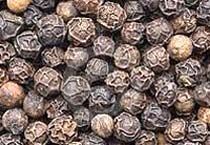 Black Pepper