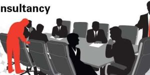 Business Consultancy Services