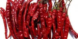 Dried Red Chili