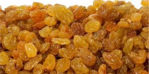 Golden Raisins