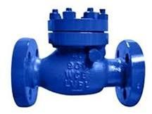 Non Return Valve