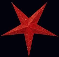 Hand Made Paper Star Lamp