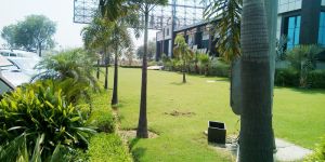 Horticulture Services