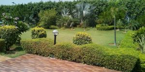 Landscaping Development Services