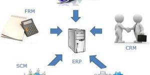 Web Based ERP