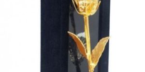 Karat Gold Dipped Natural Rose