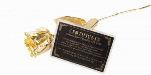 Valentine Gift Gold Dipped Rose