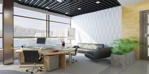 Commercial 3D Wall Panels