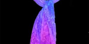 Printed Fancy Scarves