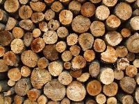 Firewood