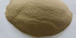 50 Percent Rice Protein