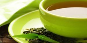 Green Tea Extract
