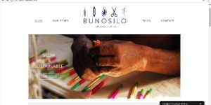 Website Development Services