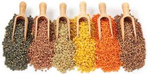 Indian Pulses