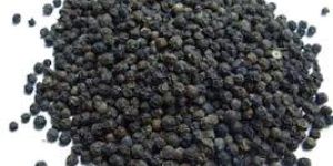 Black Pepper Seeds