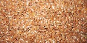 Flax Seed