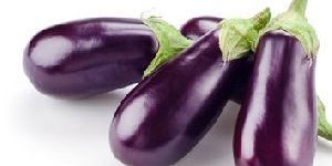 Fresh Brinjal