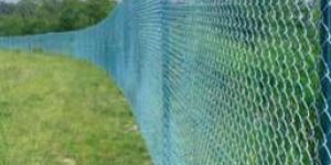 Chain Link Fencing