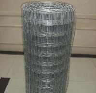 Galvanised Iron Wire Mesh