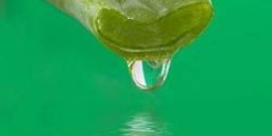 Aloe Vera Juice