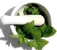 Herbal Plant Extracts