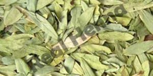 Senna Leaves