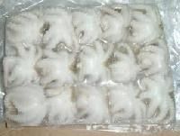 Frozen Octopus