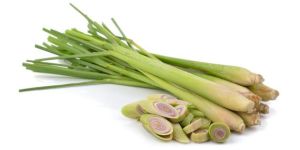 Fresh Lemongrass