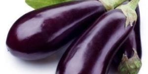 Fresh Brinjal