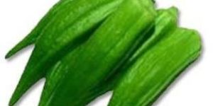 Fresh Okra