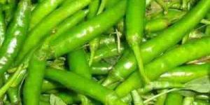 Green Chilli