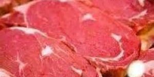 Halal Frozen Buffalo Meat Slices