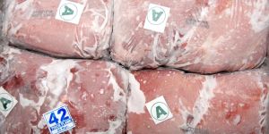 Halal Frozen Hind Quarter Thick Flank