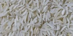 White Rice