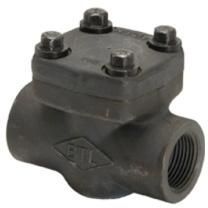 FORG CHECK VALVE