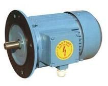 Flange Mounted Motors