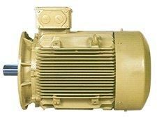 Hoist Duty Squirrel Cage Induction Motor