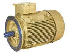 Increased Safety Motor