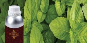 Spearmint Oil