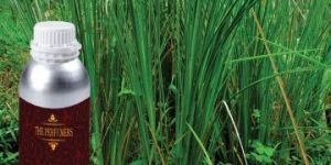 Vetiver Oil