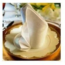 Printed Table Napkin