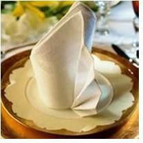 Table Napkin