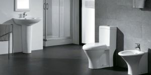 Ceramic Sanitary Ware