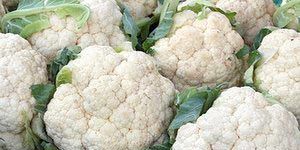 Fresh Cauliflower