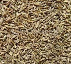 Cumin Seed