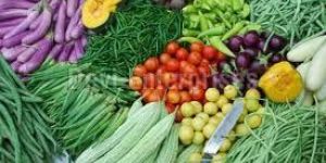 Fresh Vegetables
