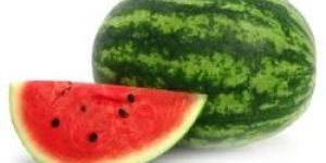 Fresh Watermelon