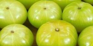 Indian Fresh Amla