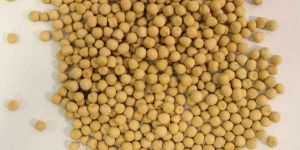 Australian Yellow Peas