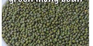 Green Mung Beans